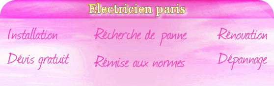 electricien paris 2