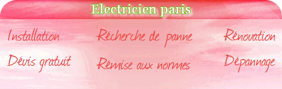 electricien paris 4
